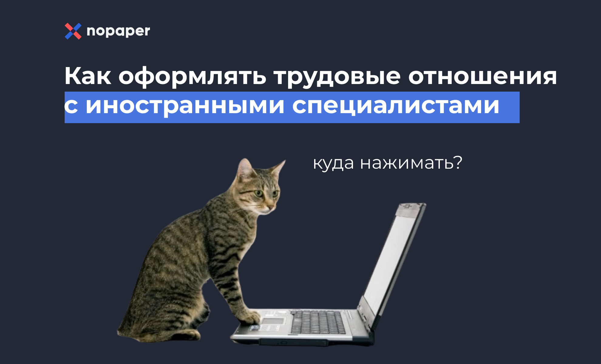 В Nopaper рассказали, как оформлять отношения с иностранными сотрудниками после поправок Минтруда РФ